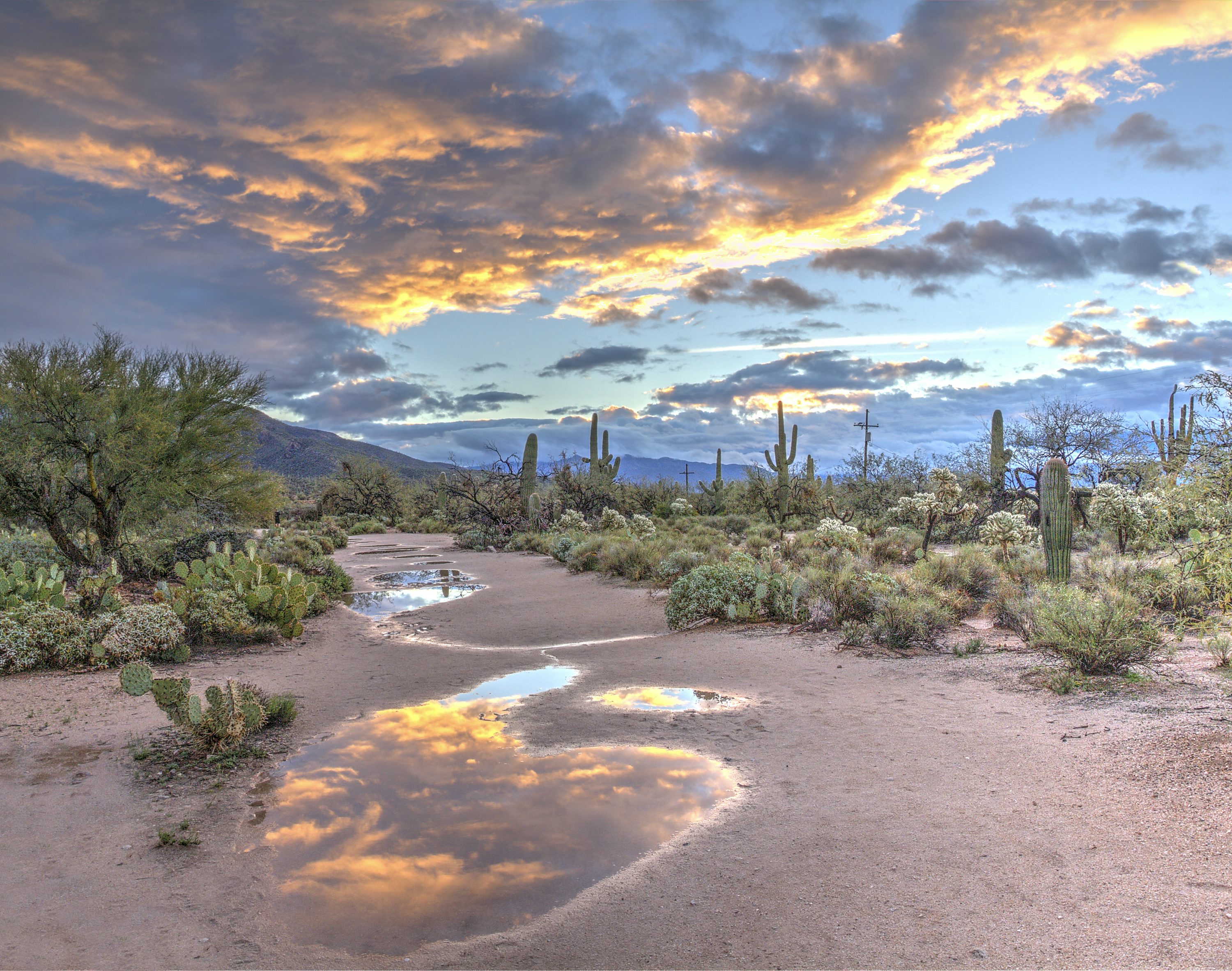 Tonto National Forest Monsoon