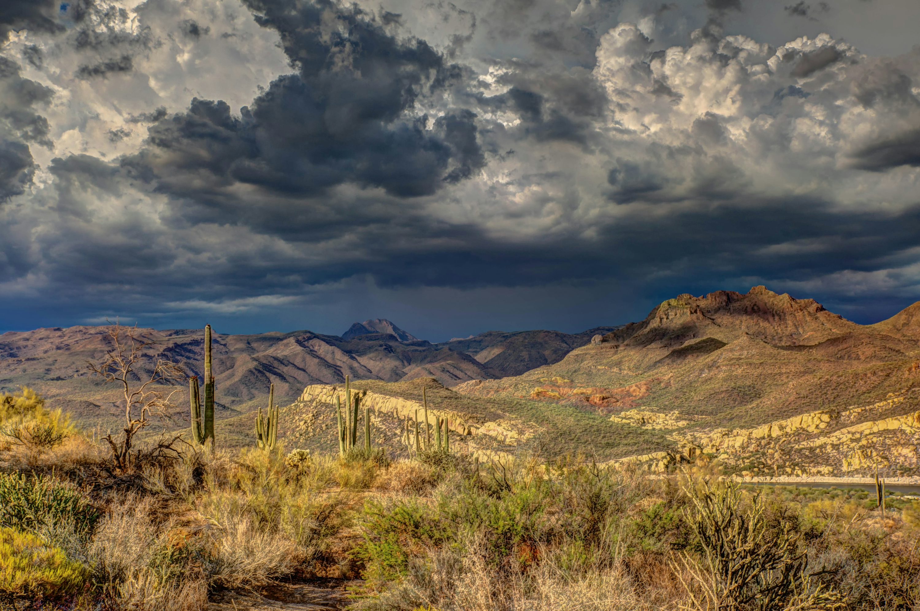 Globe Sonoran Monsoon Storm