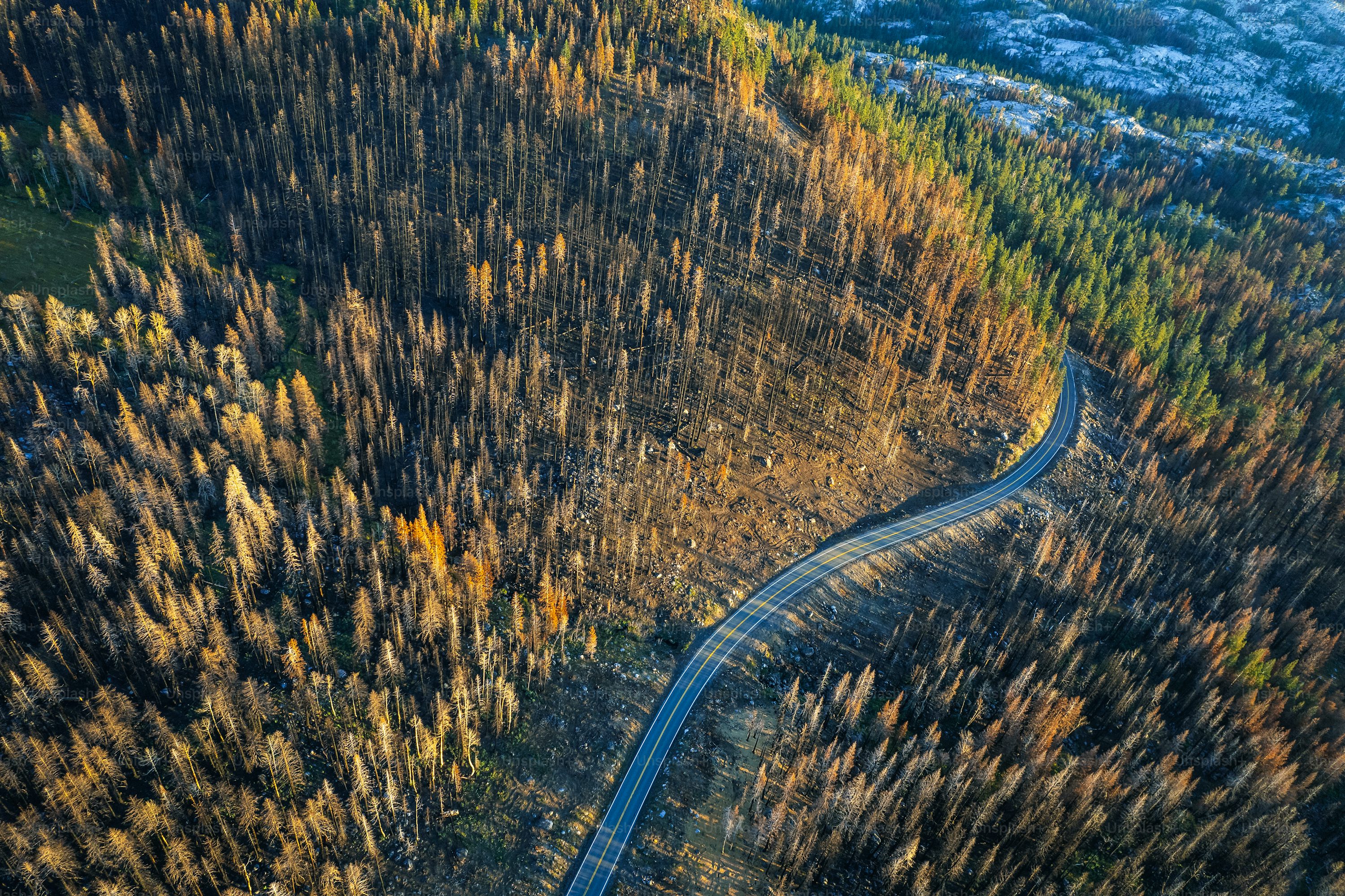 Lake Tahoe National Forest Aerial