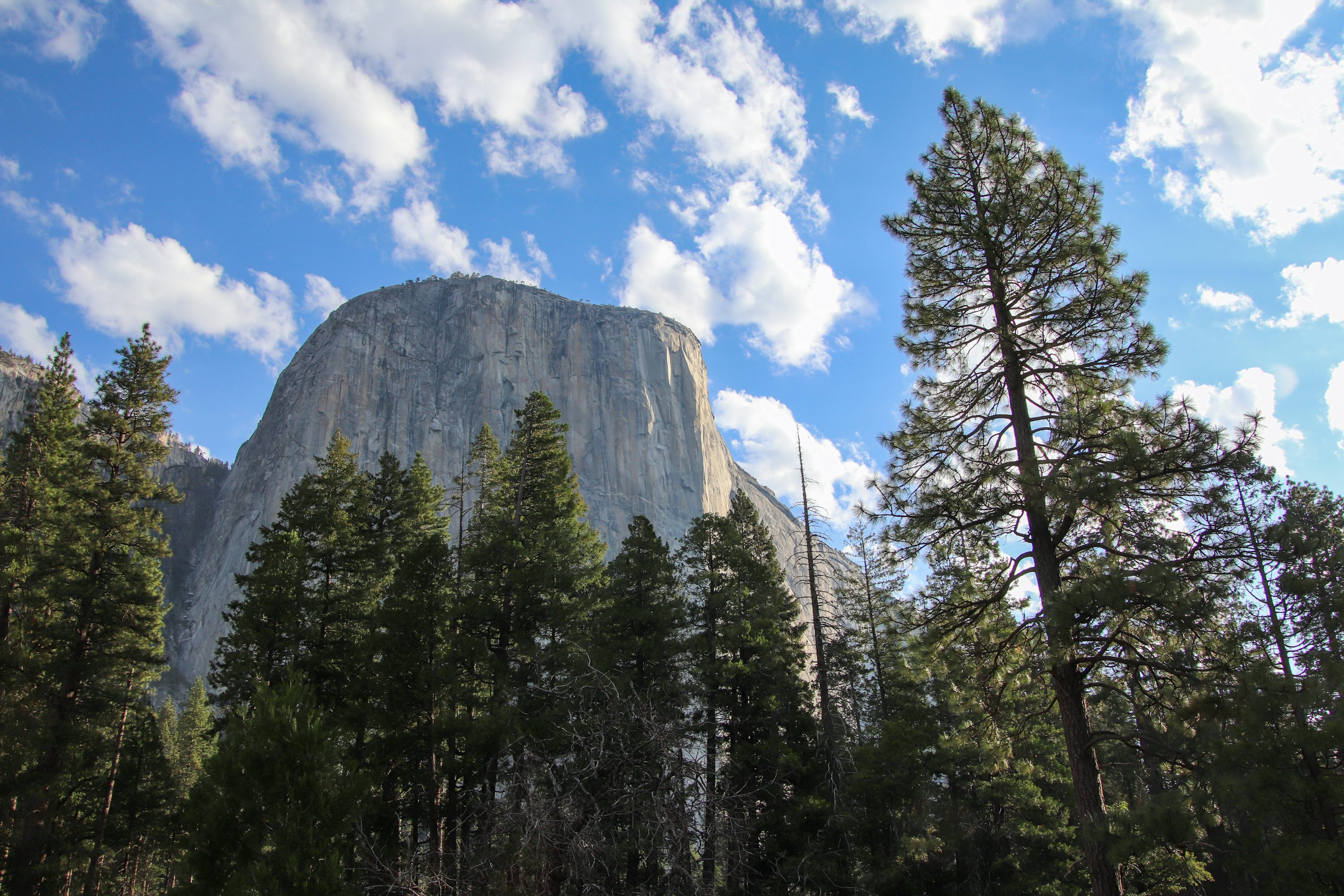 Yosemite El Capitan Valley Floor
