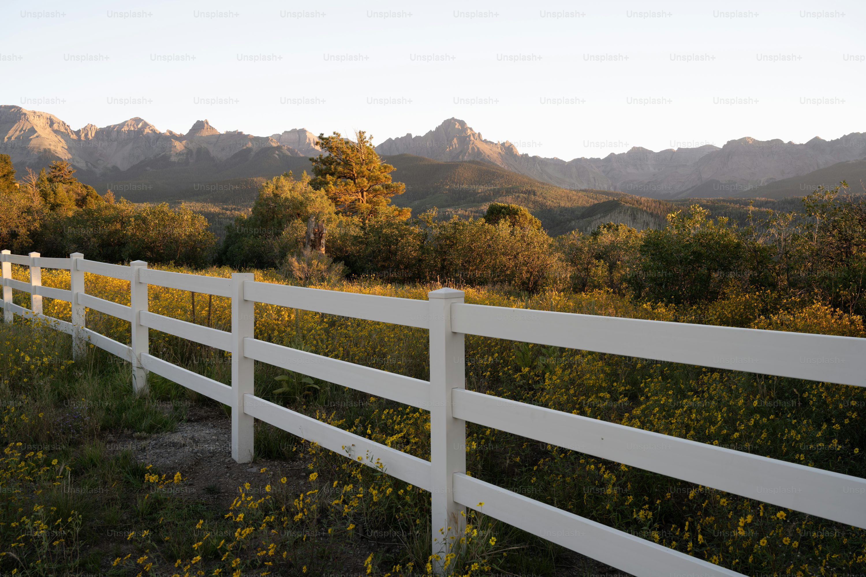 Ridgway Ranch and Cimarron Range