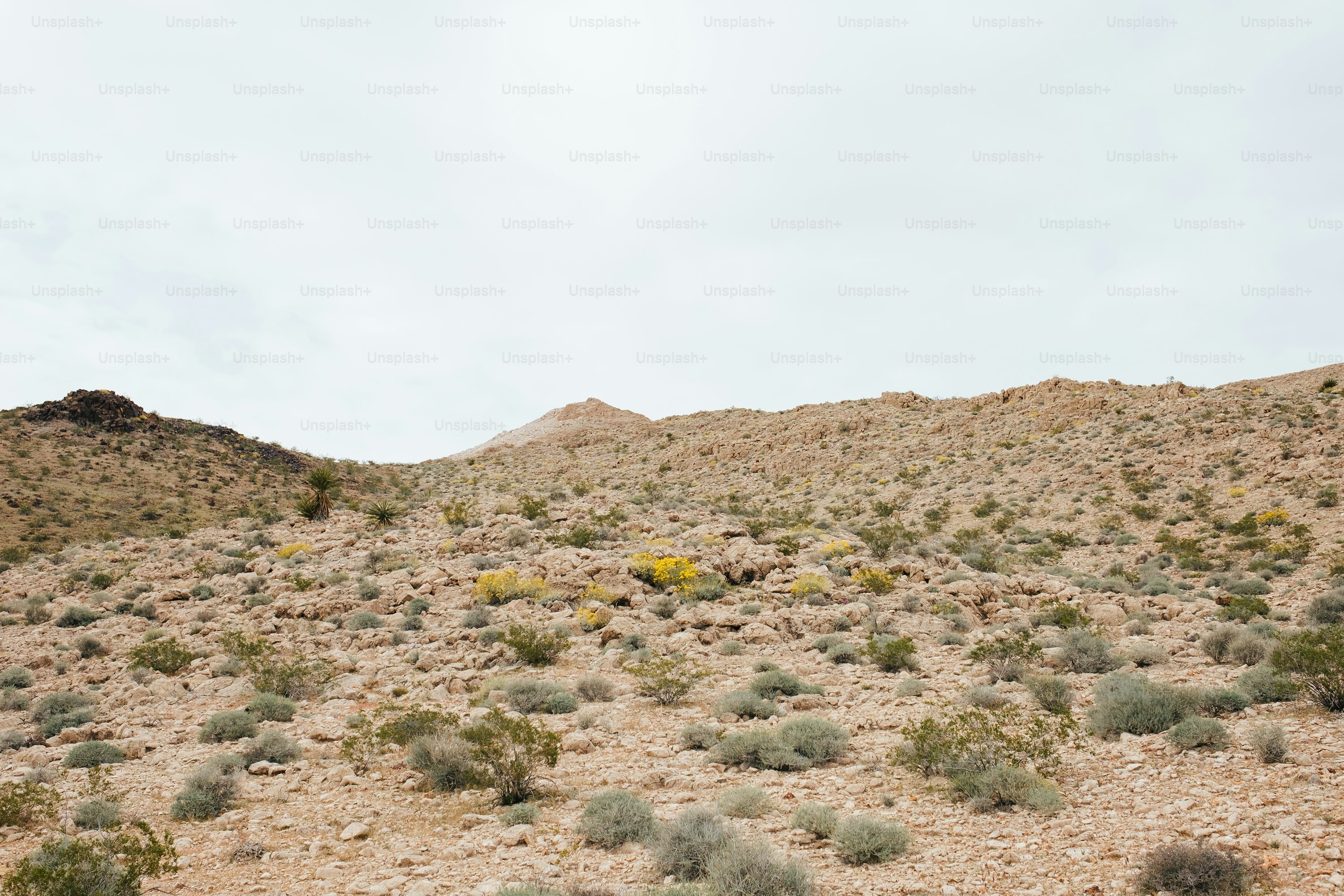 Nevada High Desert Basin